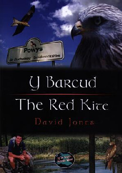 Llun o 'Cyfres Cip ar Gymru / Wonder Wales: Y Barcud / The Red Kite' 
                              gan David Jones